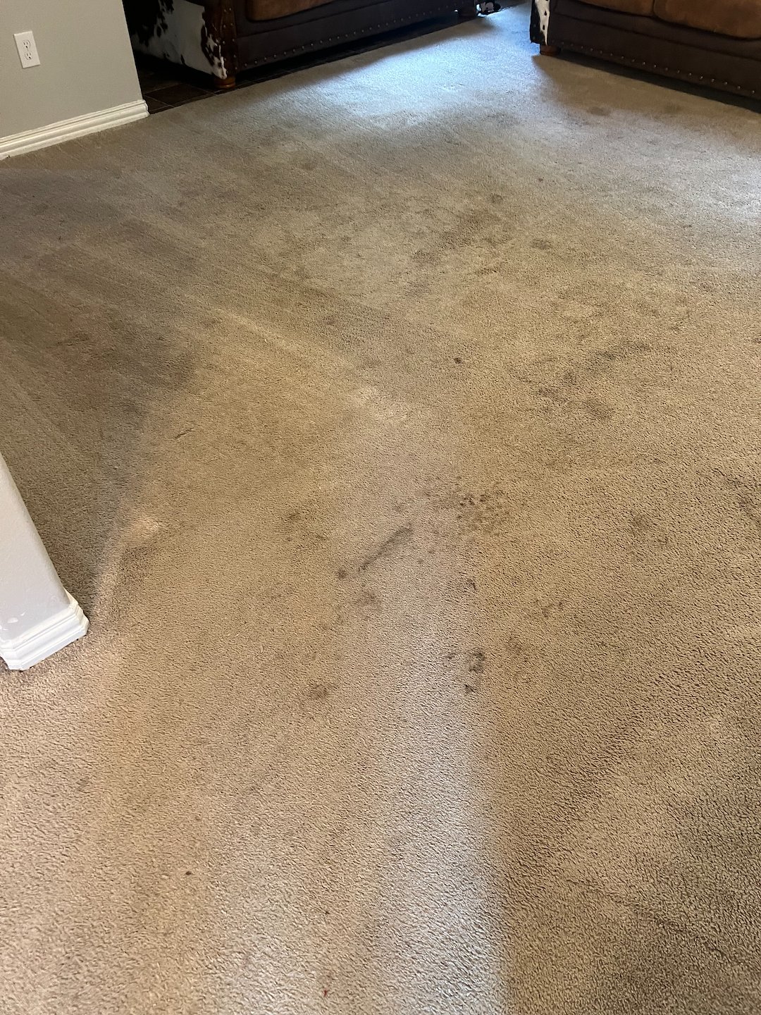 carpet cleaning,steam cleaning,shampooing,Baytown tx  Thumbnail