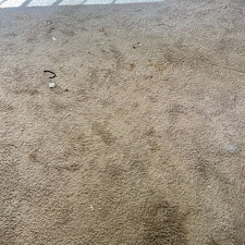 carpet-cleaningSteam-cleaningshampooingpearland-tx 0