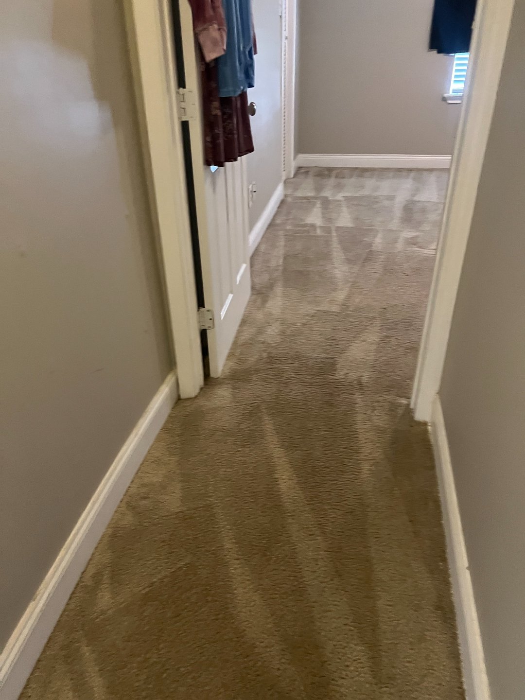 carpet cleaning,steam cleaning,Deep cleaning,Crosby tx (1)
