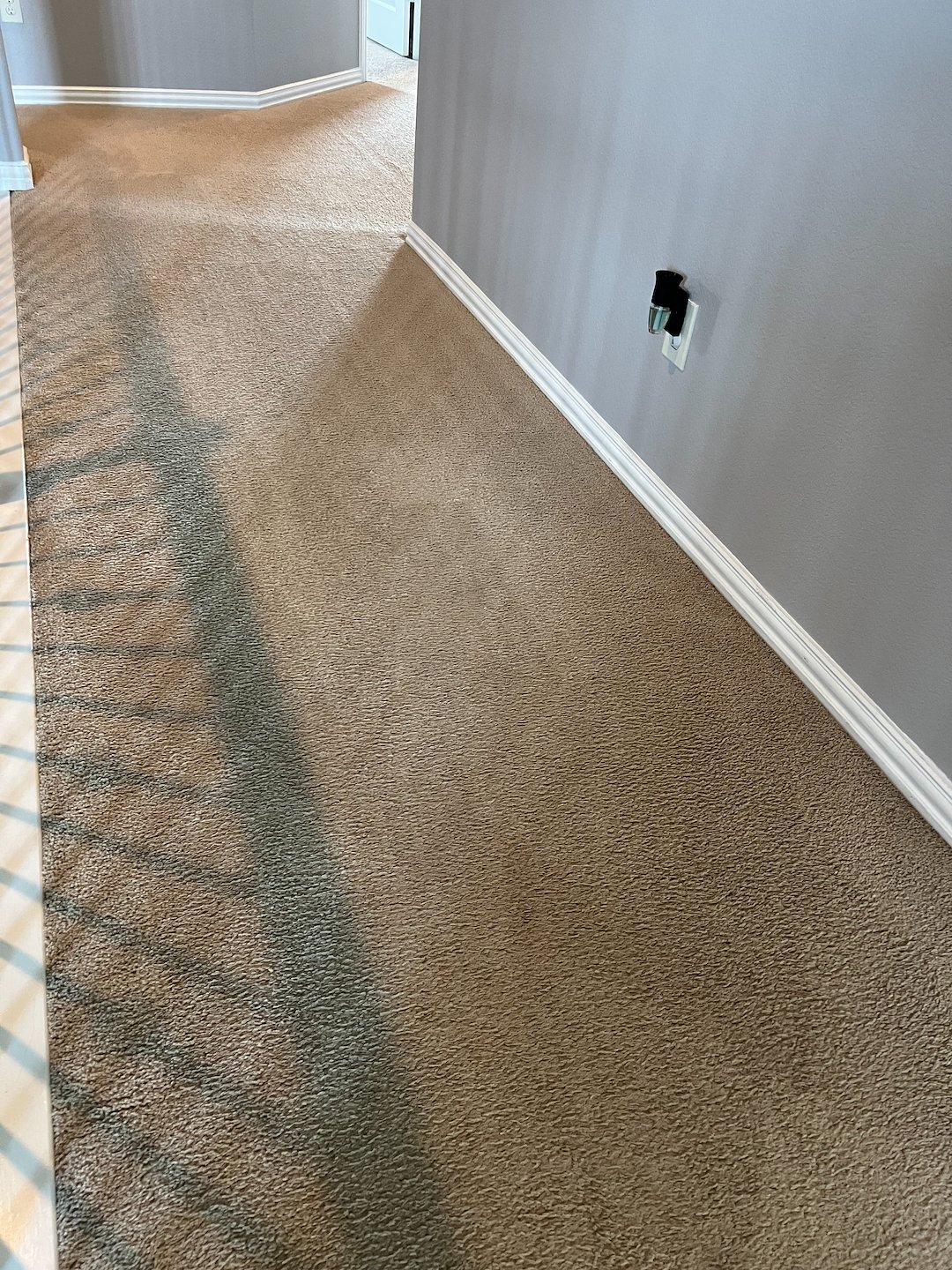 carpet cleaning,steam cleaning,deep cleaning,Humble tx (3)