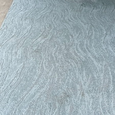 Pet-stainremovalrugs-cleanBaytown-tx 0