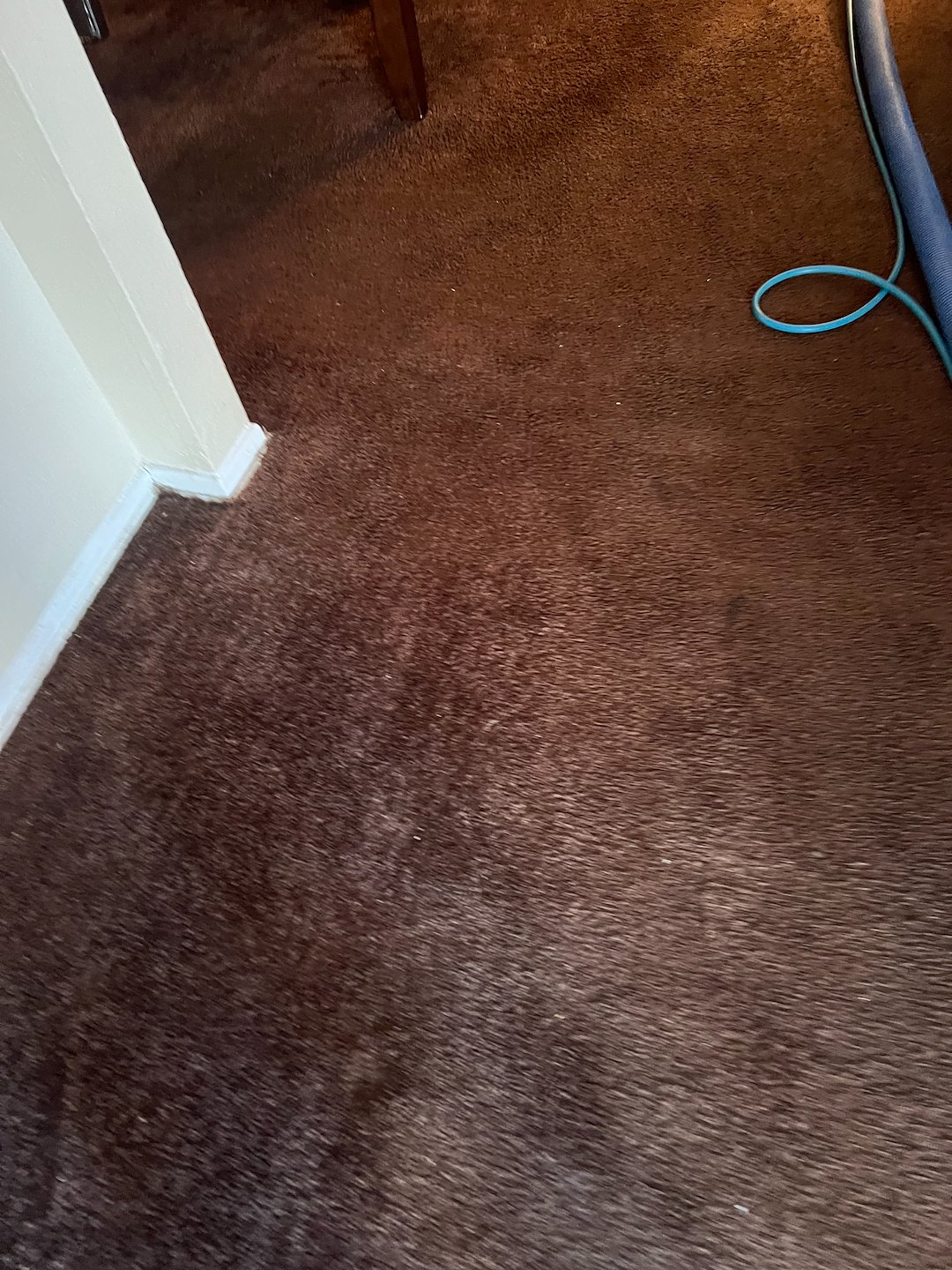 Shampooing carpets.carpet cleaning.steam cleaning.Richmond tx 