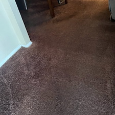 Shampooing-carpetscarpet-cleaningsteam-cleaningRichmond-tx 0