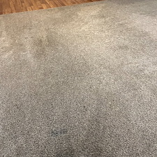 Steam-cleaningcarpet-cleaningshampooing-Crosby-tx 0