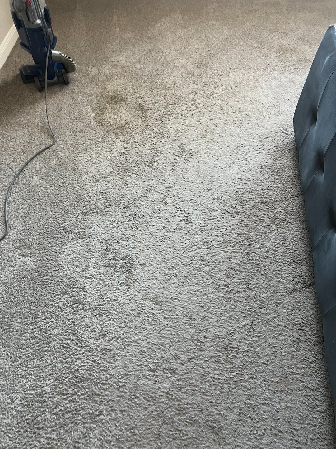 Steam cleaning,deep cleaning.shampooing,Pasadena tx 