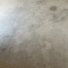 Steam-cleaningdeep-cleaningcarpet-cleaningBaytown-tx 0