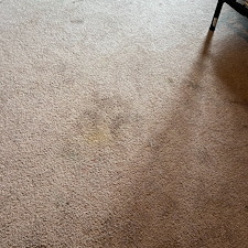 Steam-cleaningshampooing-carpet-Missouri-tx 1