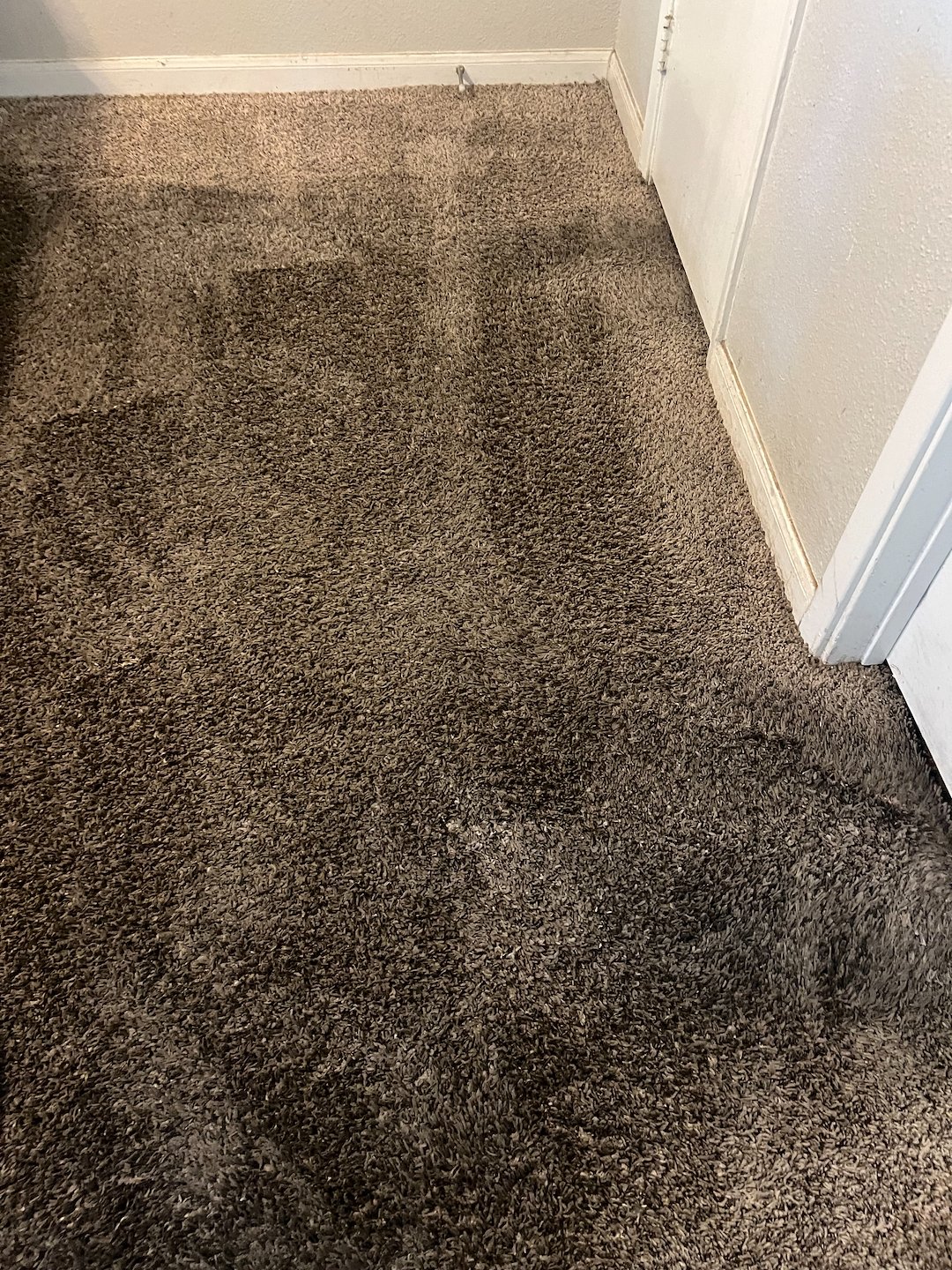 Steaming cleaning,carpet cleaning near me 