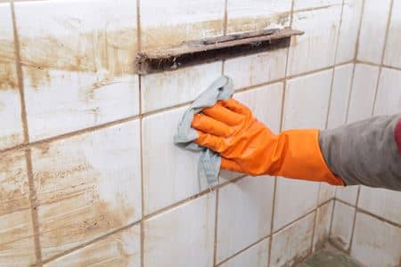 Tile & Grout Cleaning